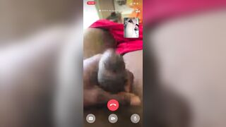 Salut Voici Monsieur Renoir Beriz237 Se Masbute Sur Les Réseaux Sociaux Sont Numéro De Whatsapp +33