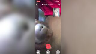 Salut Voici Monsieur Renoir Beriz237 Se Masbute Sur Les Réseaux Sociaux Sont Numéro De Whatsapp +33