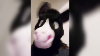 Pissing in Horse Fursuit (a Bit of Desperation Too)