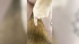 The Squirter in the Kitchen