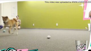 Braless Twitch Streamer Plays With Doggo