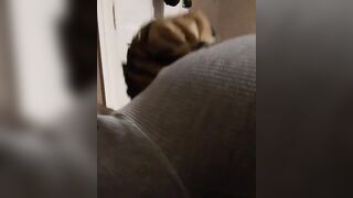 585 Nasty BBW Giving Head