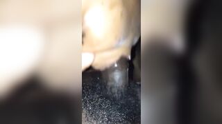 Sloppy Ebony Blowjob