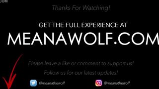 The Bet II - Meana Wolf