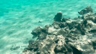 My Naked Diving on a Public Beach - Rate what I can do Underwater