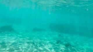 My Naked Diving on a Public Beach - Rate what I can do Underwater