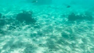 My Naked Diving on a Public Beach - Rate what I can do Underwater