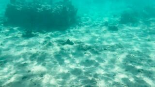My Naked Diving on a Public Beach - Rate what I can do Underwater