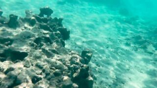 My Naked Diving on a Public Beach - Rate what I can do Underwater