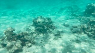 My Naked Diving on a Public Beach - Rate what I can do Underwater