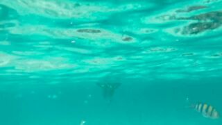 My Naked Diving on a Public Beach - Rate what I can do Underwater