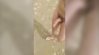 My big cock on the beach, voyeurs and milf