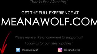I'll Tell - Meana Wolf - Family Fantasy