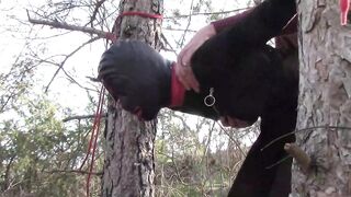 Tied up to a Tree Outdoor on Sexy Clothes, Wearing Pantyhose and High Ankle Boots Heels, Rough Fuck
