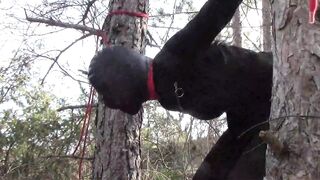 Tied up to a Tree Outdoor on Sexy Clothes, Wearing Pantyhose and High Ankle Boots Heels, Rough Fuck