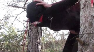 Tied up to a Tree Outdoor on Sexy Clothes, Wearing Pantyhose and High Ankle Boots Heels, Rough Fuck