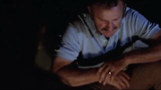 Night Moves (1975)