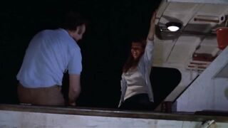 Night Moves (1975)