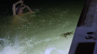 Night Moves (1975)