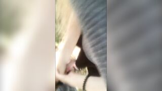  ЗАБЛУДИЛАСЬ В ЛЕСУ И ПОЛУЧИЛА ХУЙ ПОД ЮБКУ