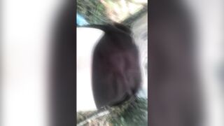  ЗАБЛУДИЛАСЬ В ЛЕСУ И ПОЛУЧИЛА ХУЙ ПОД ЮБКУ