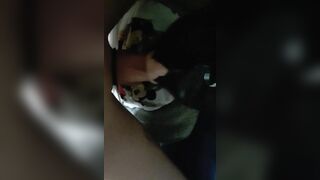 Lick the Pussy Daddy