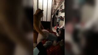 Fuck bbw