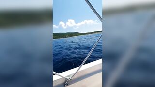 Kuckica na gliseru
