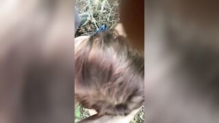 You Slut Ivy Rae Blowing in the Forest like a Good Bitch