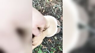 You Slut Ivy Rae Blowing in the Forest like a Good Bitch