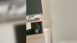 Naughty Step Mom With Big Ass And Puffy Get Fucked by Step Son