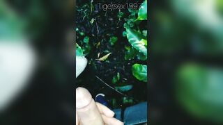 De paseo en el bosque con una paso prima termine metiendole mi polla hasta llenarla de mi leche????????�
