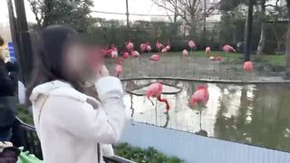 Boyfriend licks, sucks, and rubs milk of Maria♡Cute Maria feels an orgasm♡Japanese amateur hentai
