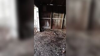 snuck into the shed down the street.