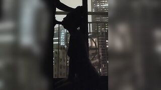 Asian High-rise Blowjob