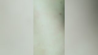 La scopo a pecora