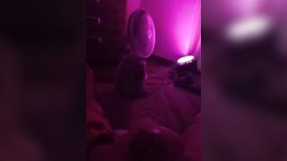 Punhetinha da minha safada, gostoso demais.