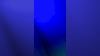 18yd old Giving best Blowjob in Club