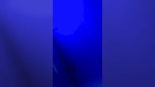 18yd old Giving best Blowjob in Club