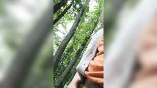 Pussy in the park