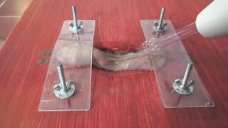 Power cock and ball punishment with high heel trampling!
