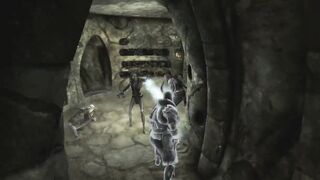 Lvl 300 Orc vs Bleak Falls Barrow (No HUD) - Skyrim