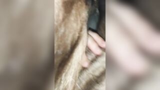 Sloppy cock blowjob