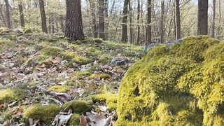 Welcum in nature!
