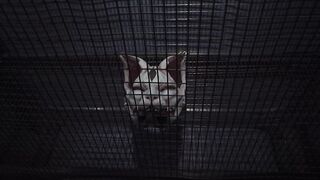 Monster Tale Code:F vol.7 P1 - PV