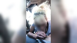 Wife gives backseat blowjob ro brother in law at picnic