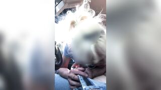 Wife gives backseat blowjob ro brother in law at picnic