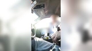 Wife gives backseat blowjob ro brother in law at picnic