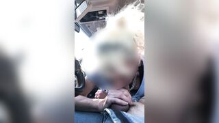 Wife gives backseat blowjob ro brother in law at picnic