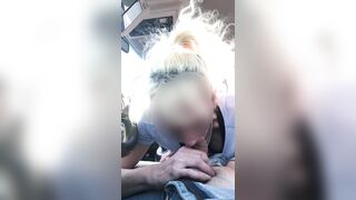 Wife gives backseat blowjob ro brother in law at picnic